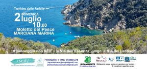 Il trekking delle farfalle (2 luglio) cambia orario: appuntamento alle 10 al Molo del Pesce a Marciana Marina