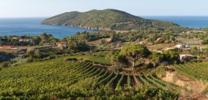 C&#039;era una volta l&#039;Isoletta verde&amp;blu  (Elba paradiso dei single?)  Primo alibi di una distruzione