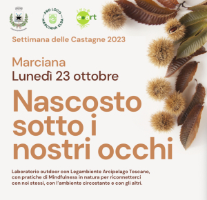 Settimana delle Castagne: “Nascosto sotto i nostri occhi”, il 23 ottobre il laboratorio outdoor di Legambiente