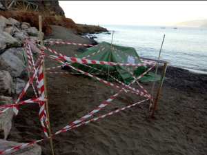 Sulla spiaggia dell’Innamorata la sesta nidificazione di tartaruga marina all’isola d’Elba