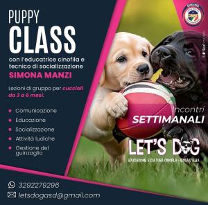 Nuovo corso per cuccioli con Let&#039;s Dog asd