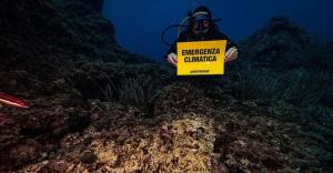 Mare caldo all’Isola d’Elba - I preoccupanti risultati del rapporto di DiSTAV, Greenpeace ed Elbatech