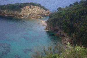 Prepotenti nel mare di Ortano