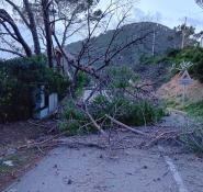 Report del Comune sui danni del maltempo a Portoferraio