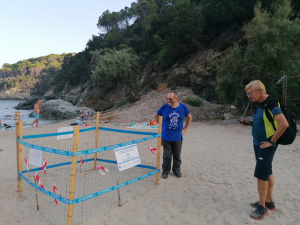 L&#039;Elba ora è davvero l&#039;isola delle tartarughe, e 3 nidi su 5 sono nel Parco