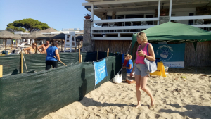 Tutto pronto a Lacona per la nascita delle tartarughine marine