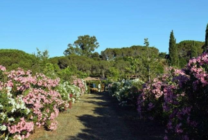 Anche alla Villa romana delle Grotte un angolo privato riservato all&#039;allattamento