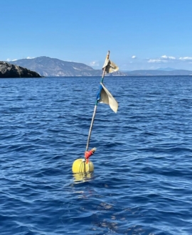 A Giannutri una rete da pesca abbandonata a pochi metri dalla Zona 1 del Parco Nazionale