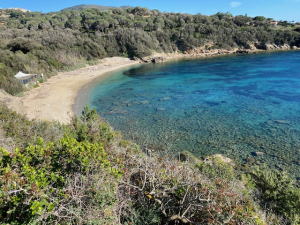 La spiaggia di Barabarca, bella ma non curata