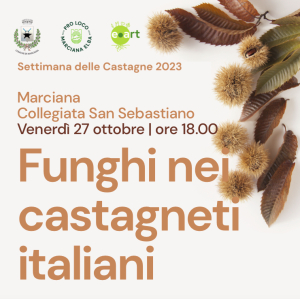 Settimana delle Castagne: tutti gli eventi di venerdì 27 ottobre