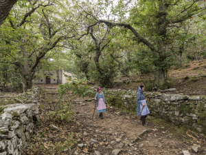 Settimana delle Castagne: ultimi appuntamenti tra natura, teatro e sapori.