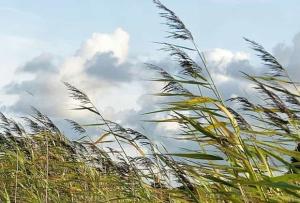 Meteo: previsto un Martedì all&#039;insegna del Grecale e basse temperature