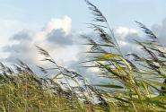 Meteo: previsto un Martedì all&#039;insegna del Grecale e basse temperature