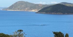 Strane onde nella rada di Portoferraio, chi e cosa le provocano? - Il Video