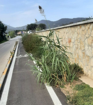 Fotonotizia: Pista non ciclabile campese