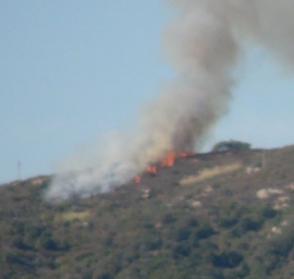 Incendio boschivo nei pressi di San Piero