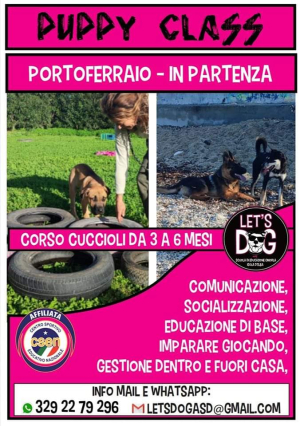 Let&#039;s Dog asd organizza un corso di gruppo per cuccioli