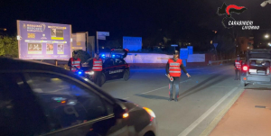 Un arrestato per evasione, un denunciato ed un segnalato: intensificati i controlli dei Carabinieri sul territorio elbano