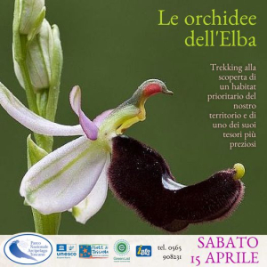 Trekking naturalistico alla scoperta delle orchidee dell&#039;Elba