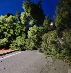 Interventi degli operai provinciali per la rimozione di alberi caduti per il forte vento