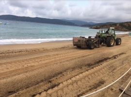 Non sono spiagge per tartarughe