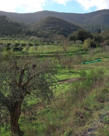 La più antica storia dell’Elba. Lo scavo archeologico a Castiglione a San Martino (parte 12)