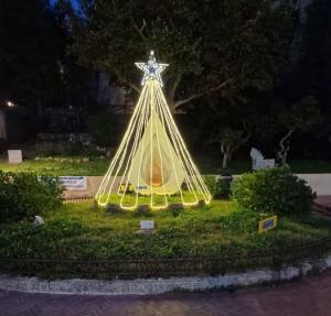 L&#039;Albero di Natale AVIS come ringraziamento ai donatori