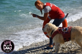 Un successo di partecipazione il compleanno Let&#039;s Dog a Le Ghiaie 