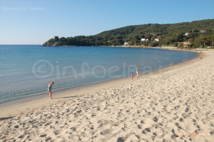 Domenica pulizia della spiaggia di Procchio