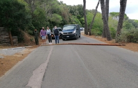 A Procchio un palo dell&#039;illuminazione pubblica buttato giù dal forte vento 