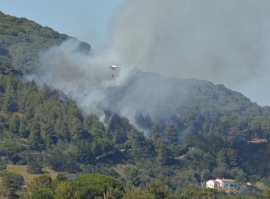 Incendio sotto controllo ci si prepara alla bonifica 