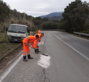 Camion perde gasolio sulla SP 24 “Portoferraio-Procchio”