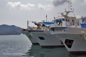 Chiamata d&#039;imbarco, si cerca un marinaio