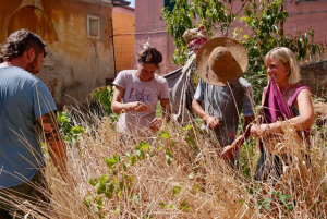 “Cittadini custodi della Cultura contadina elbana” un progetto finanziato dalla Regione Toscana