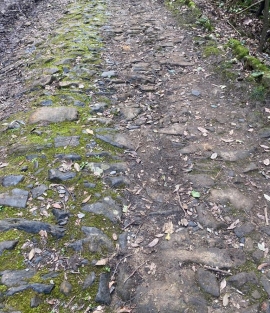 La Strada Maestra in val di San Martino,   trascurato un altro pezzo di storia elbana