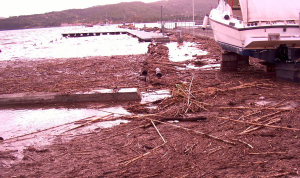 Canne trinciate nei fossi, cosa è già accaduto e cosa rischia di ripetersi al primo acquazzone