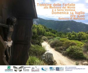 Il 14 luglio trekking delle Farfalle alla Madonna del Monte e Serra Ventosa