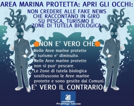 Le Zone Marine di Tutela Biologica:  abbaglio o specchietto per allodole?