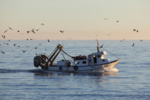 Chiamate d&#039;imbarco su motopeschereccio, si cercano due marinai e due mozzi