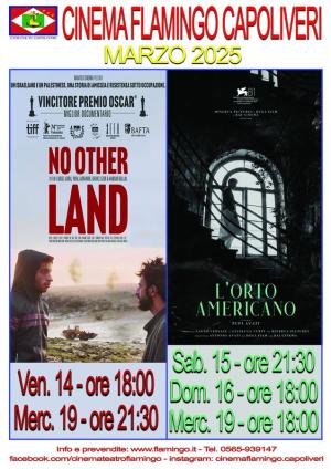 La programmazione del Cinema Flamingo