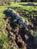 Fotocronaca: incursione dei cinghiali alla Villa Romana delle Grotte