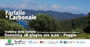 Farfalle e Carbonaie. Il 18 giugno tornano i trekking estivi di Legambiente Arcipelago Toscano