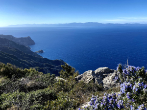 Parco Nazionale Arcipelago Toscano: le attività condotte nel 2022 e le prospettive per il 2023