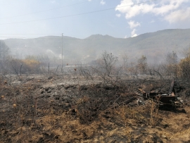 I ringraziamenti del Sindaco di Campo a chi è intervenuto per domare l&#039;incendio di Sant&#039;Ilario