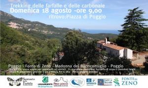 Farfalle e carbonaie. Il 18 agosto passeggiata Poggio - Fonte di Zeno – Madonna del Buon Consiglio