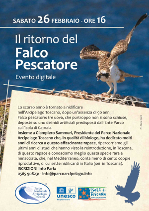 Il ritorno del Falco Pescatore - conferenza online con il Presidente del Parco