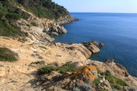 Finalmente l’ambiente torna sulla scena