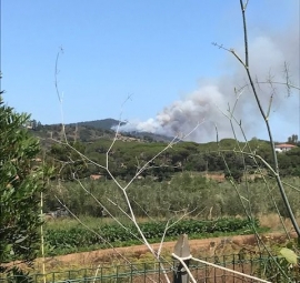 Incendio boschivo a Capo d&#039;Arco 