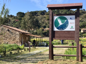 All’Aula VerdeBlu di Mola festeggiamo i volontari e la nascita delle tartarughine di Sant’Andrea