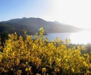 La presentazione di &quot;Procchio - Storia di un paese costiero dell&#039;Elba&quot;